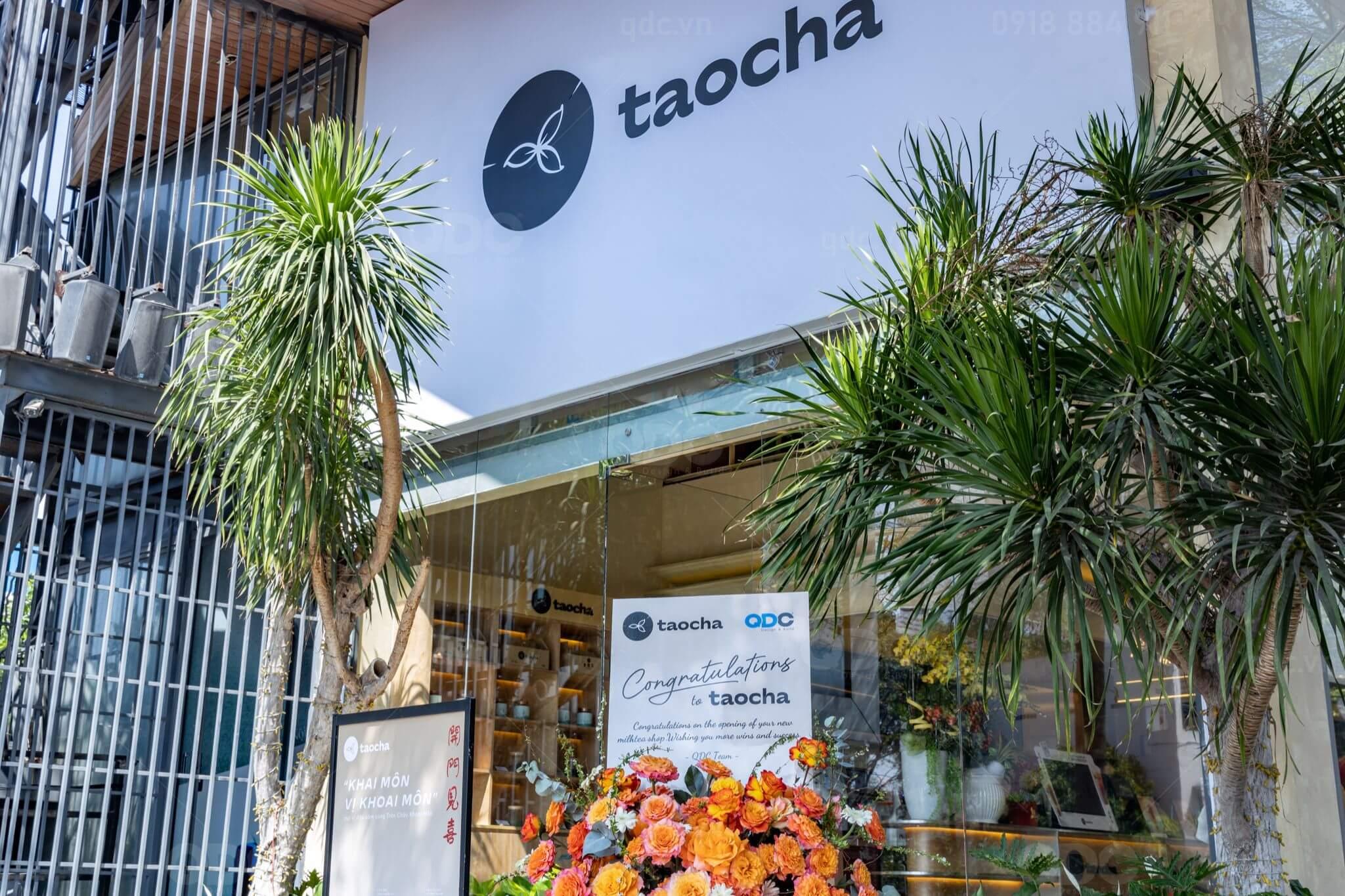 Khai trương Tao Cha Premium - Thủ Dầu Một