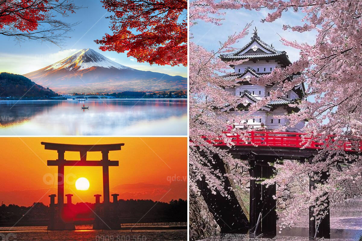 Thiết kế và thi công nhà hàng hải sản Gold Restaurant